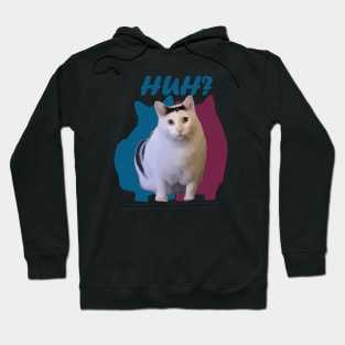 huh cat funny memes Hoodie